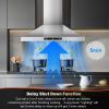 24 Inch Range Hood, Ducted/Ductless Range Hood 450CFM, Wall Mount Kitchen Hood in Stainless Steel, Gesture Sensing & Touch Control, 3 Speed Fan